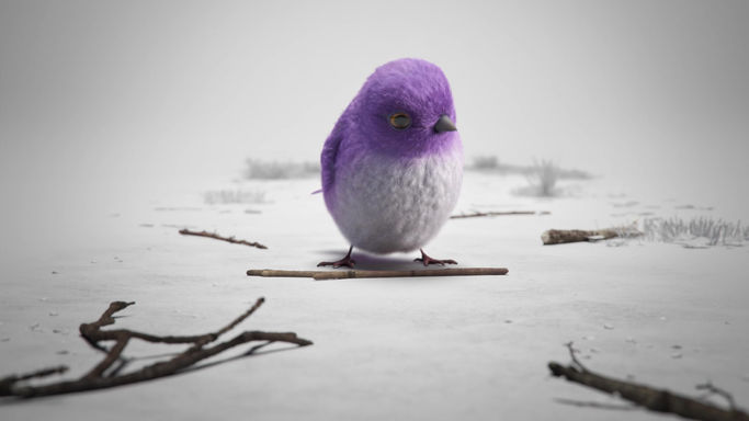 QFC - BIRD